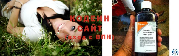 шишки Нея