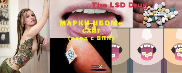 шишки Нея