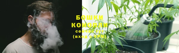 шишки Нея