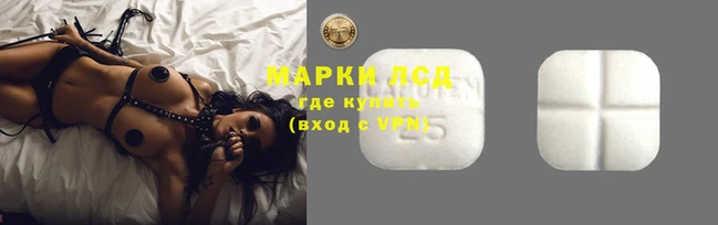 шишки Нея