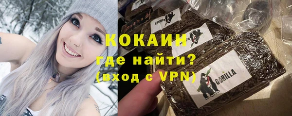 шишки Нея