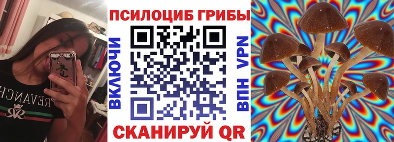 Купить  Соль-Илецк  Галлюциногенные грибы мухоморы 