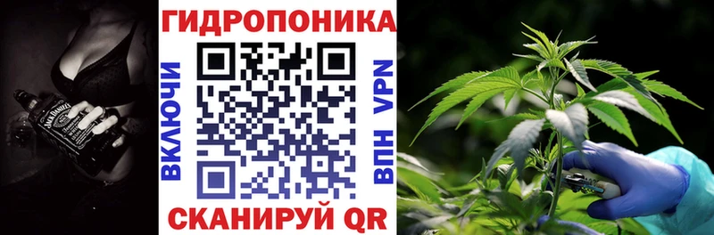 Марихуана THC 21%  Купить где  Соль-Илецк 